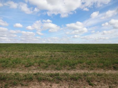 Geniş çimenli alan