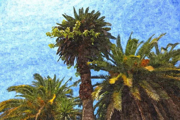 Three painted palm trees — Stock Photo, Image