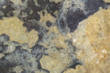 Doğal arkaplan, doku, metal, taş, tahta, kağıt, folyo, kumaş.