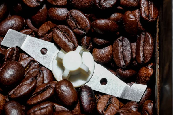 Black Coffee Grains Coffee Grinder Close — Stock Photo, Image