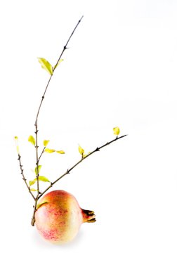 Olgun nar ve izole sarı yaprakları ile şube