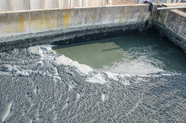 Traitement des eaux usées avec de la boue biologique — Photo