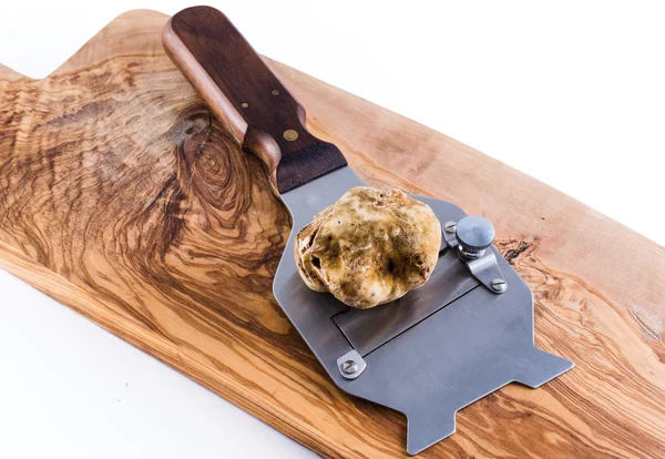 Expensive white truffle from Alba and steel slicer — Stock Photo, Image