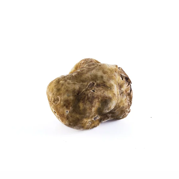 Tubero bianco tartufo magnatum pico di Alba — Foto Stock