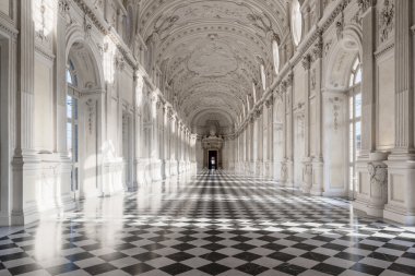 İç Galerisi, Kraliyet Sarayı, Venaria Reale Piyemonte, U