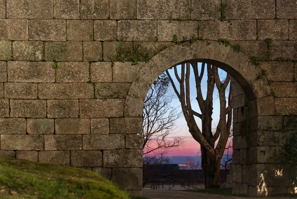 Old stone arch door in a wall and a far tree on sunset — Stock Photo, Image