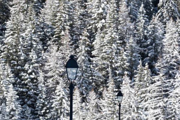 Lâmpadas de rua em uma paisagem fria de inverno — Fotografia de Stock