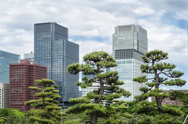 Wolkenkrabbers en Japanse tuin in Tokio — Stockfoto