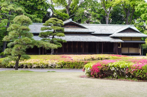 Japanska traditionella hus i en park i Tokyo Royaltyfria Stockfoton