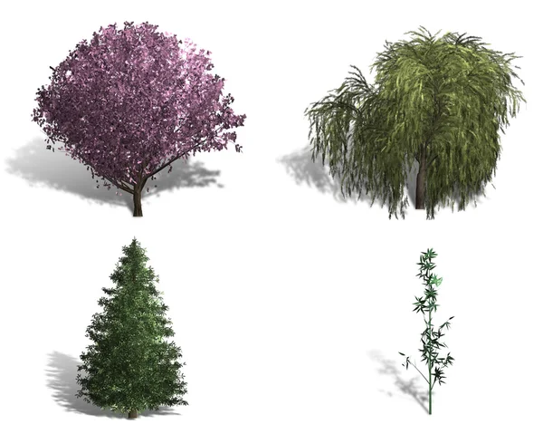 Rendering av fyra olika typer av träd Stockfoto