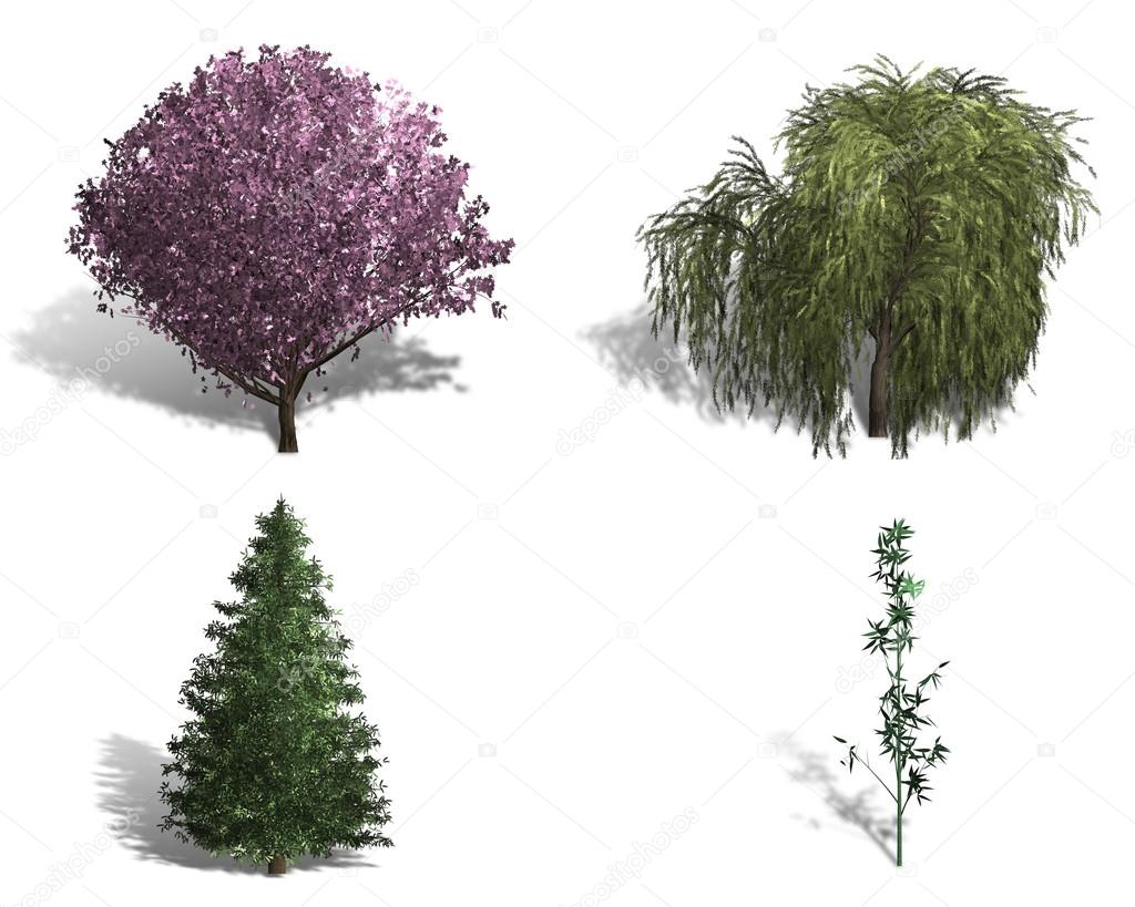rendering of four different kinds of trees