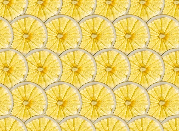 잘 익은 노란 레몬과 자 몽 조각의 완벽 한 행 — 스톡 사진