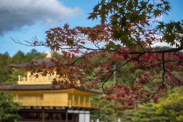 Pabellón de oro de Kyoto, Japón, conocido como kinkakuji —  Fotos de Stock