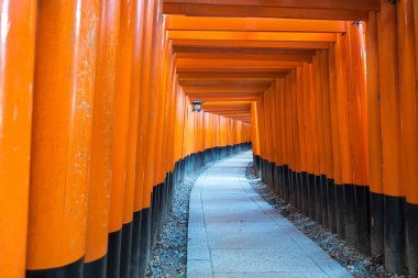 Portakal Japon Kyoto bir tapınakta Gates'te yolunu