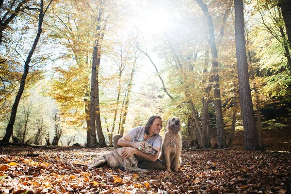Portrét dospělého muže a jeho dvou psů na pozadí podzimního lesa. — Stock fotografie