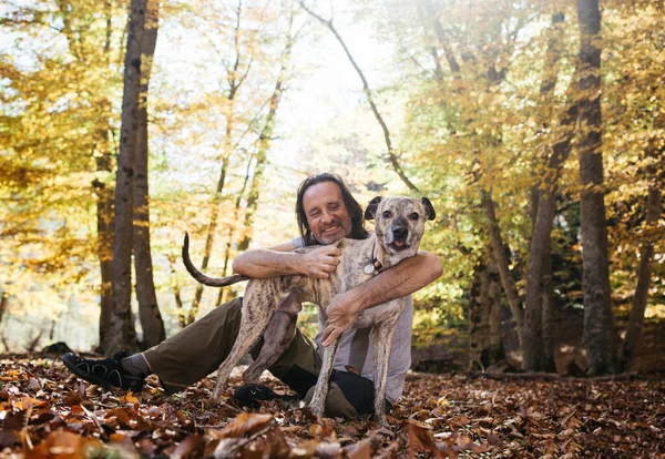 Dospělý muž chodí se psem v lese. Sedí na trávě a objímají se. — Stock fotografie