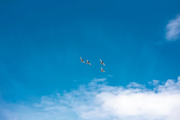 Groep van eenden vogels vliegen op blauwe hemel achtergrond — Stockfoto