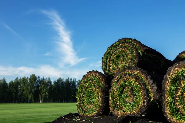 Rollos de césped de hierba fresca —  Fotos de Stock