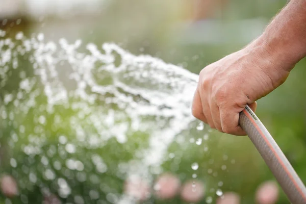 Holding water rubber hose tube. Watering — Stock Photo, Image