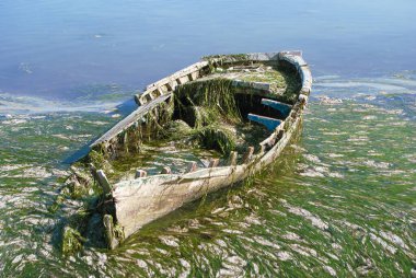 Suyun içinde ve çevresinde yosun olan eski kırık bir tekne..