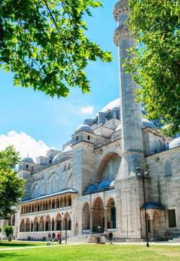 Mavi gökyüzü ve yeşil yaprakların arka planına karşı Süleyman Camii.