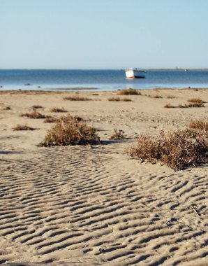 Denizin alçak gelgitinden kumda su izleri var. Arka planda Tunus 'ta Akdeniz' de beyaz bir tekne..