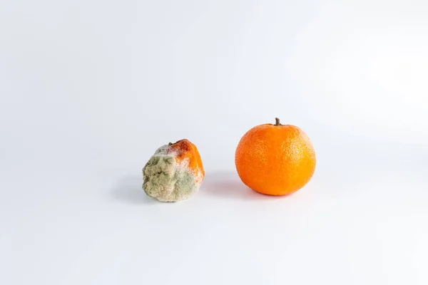 moldy rotten orange tangerine on a black background, spoiled fruit