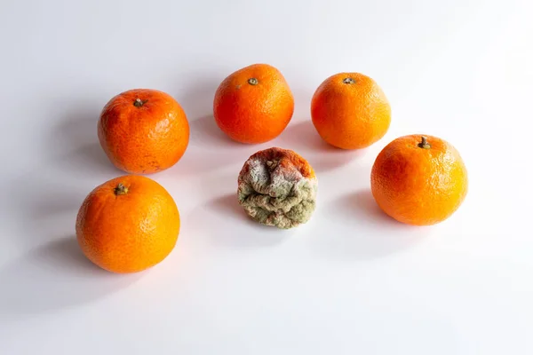 moldy rotten orange tangerine surrounded of fresh fruits on a white background, spoiled fruit, bad old food, uneatable, contagious concept