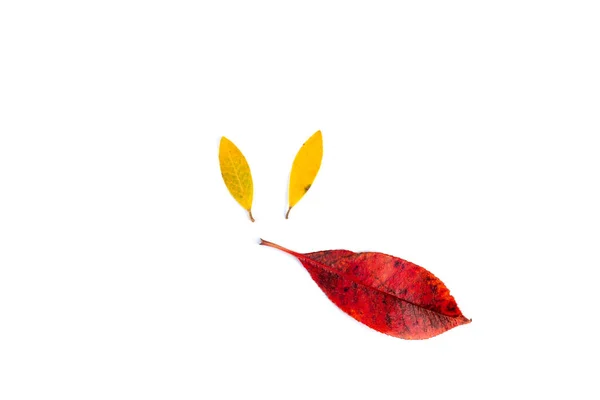 DIY dry leaf clip-art dla dzieci, poradnik — Zdjęcie stockowe