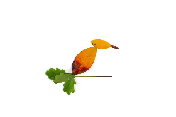 Yellow leaf on white background, autumn nature art project for kids, DIY, step 1 — Stock Photo, Image