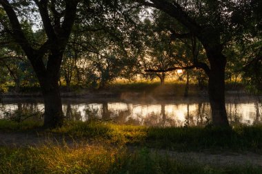 Yaz zamanı altın saat manzarası