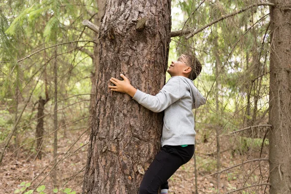 Little boy stay in forest, nature study for kids, autumn activity ideas — Stock Photo, Image