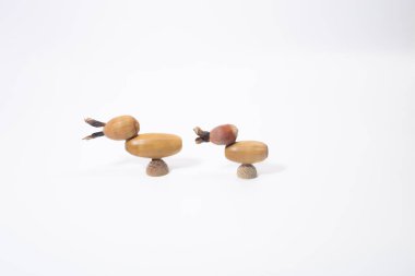 Sonbahar palamutlarından yapılmış soyut ördekler, çocuklar için doğa sanat projesi, DIY