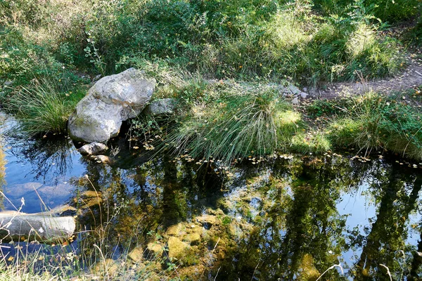 Reflexionen Der Vegetation Gebirgsfluss Heller Tag Grün Licht Ruhe — Stockfoto
