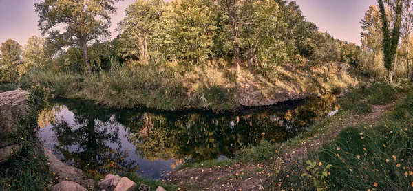 Refleksi Vegetasi Sungai Pegunungan Hari Cerah Hijau Cahaya Ketenangan — Stok Foto