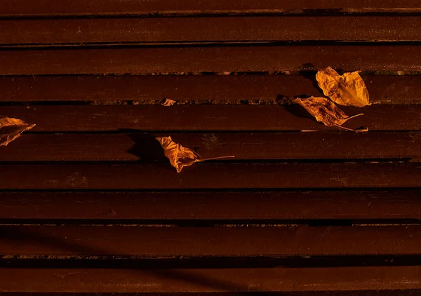 Fallen Tree Leaves Park Bench Dry Autumn Brown Warm — Stockfoto