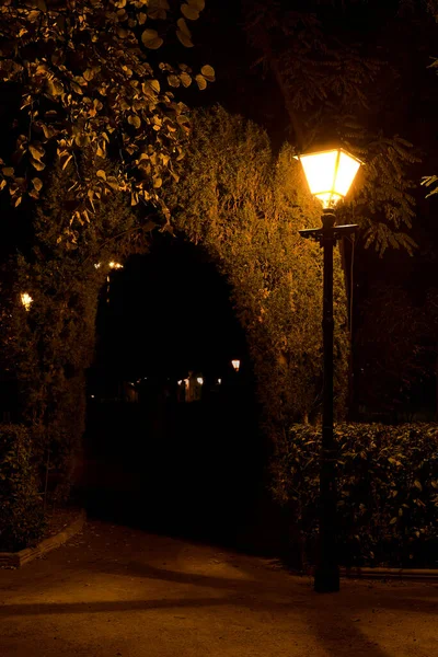 Romantic Night Park Fountain Lamppost Reflections Lonely Warm — Stock Photo, Image