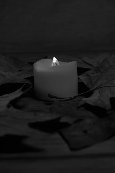 Candle Fallen Autumn Leaf Wooden Background Black White — Stock Photo, Image