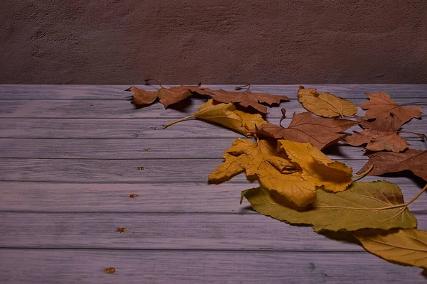 Träbakgrund Med Fallna Höstlöv Textur Sidovy Blank — Stockfoto