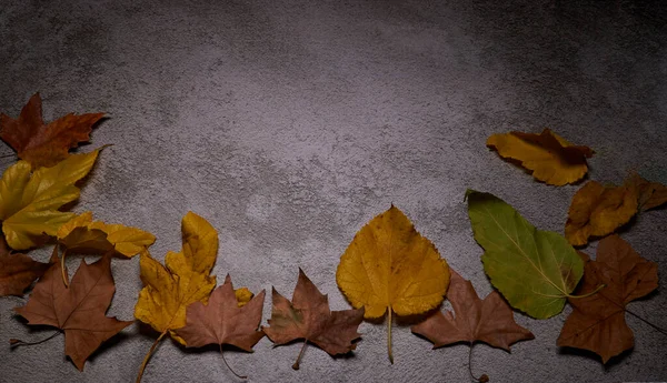 Steinhintergrund Mit Abgefallenen Herbstblättern Textur Overhead Ansicht Leerraum — Stockfoto