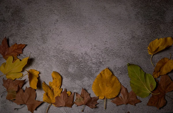 Fondo Pietra Con Foglie Cadute Autunno Texture Vista Aerea Spazio — Foto Stock