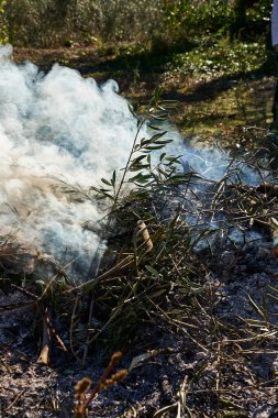 Güneşli bir günde çalılıklarda şenlik ateşi, ateş, odun, açık hava