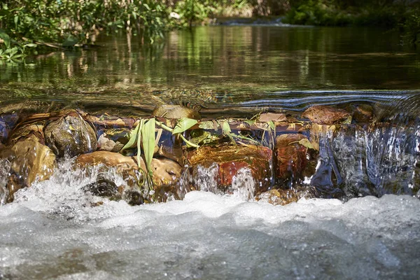 Kristallklares Wasser Des Gebirgsflusses Einem Wasserfall Transparent Felsen Sonnig Herbstblätter — Stockfoto