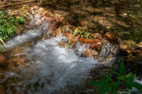 Kristallklart Vatten Bergsflod Ett Vattenfall Transparent Klippor Soligt Höstlöv — Stockfoto