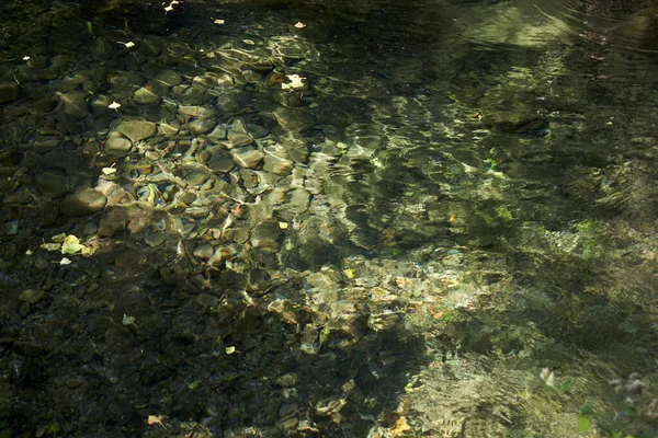 山の川のクリスタルクリア水 穏やかな岩 日当たりの良い 秋の葉 ストックフォト