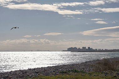 Sahilde arka planda binalar ve martı, güneşli, bulutlu, kayalıklı, liman vinciyle