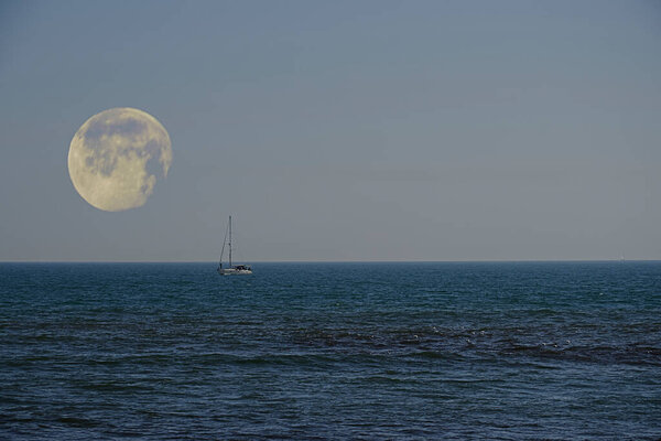 Sailboat sailing under a full moon. Horizontal, calm sea, seagulls, blue