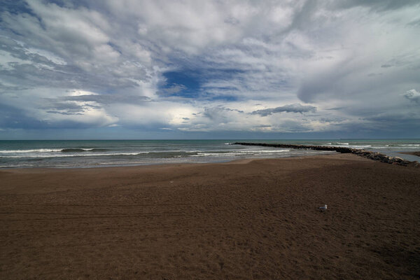 Lonely sandy beach with seagulls