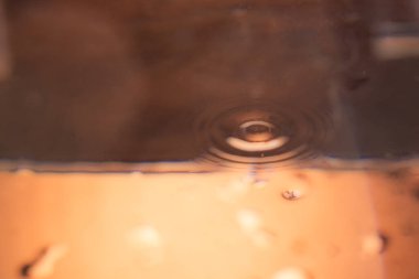 325. Su yüzeyine yakın çekim. Konsantre dalgalanmalar ve küçük kabarcıklar gösteriyor. Ilık turuncu ışık, parlak dipten koyu tepeye doğru bir değişim yaratır. Yansımalar derinlik ve soyut doku ekler.