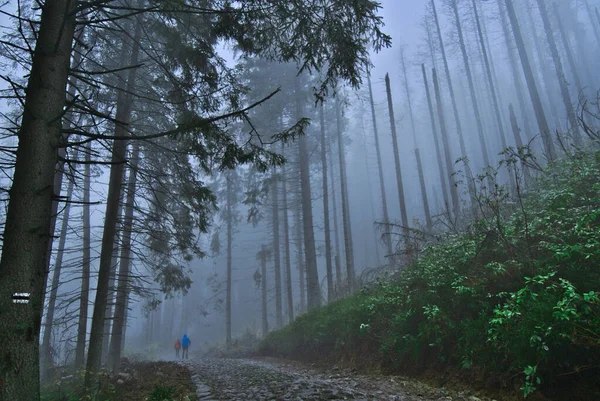 Black Trail Walkers Forest Fog Rainy Weather Mountains Royalty Free Stock Images